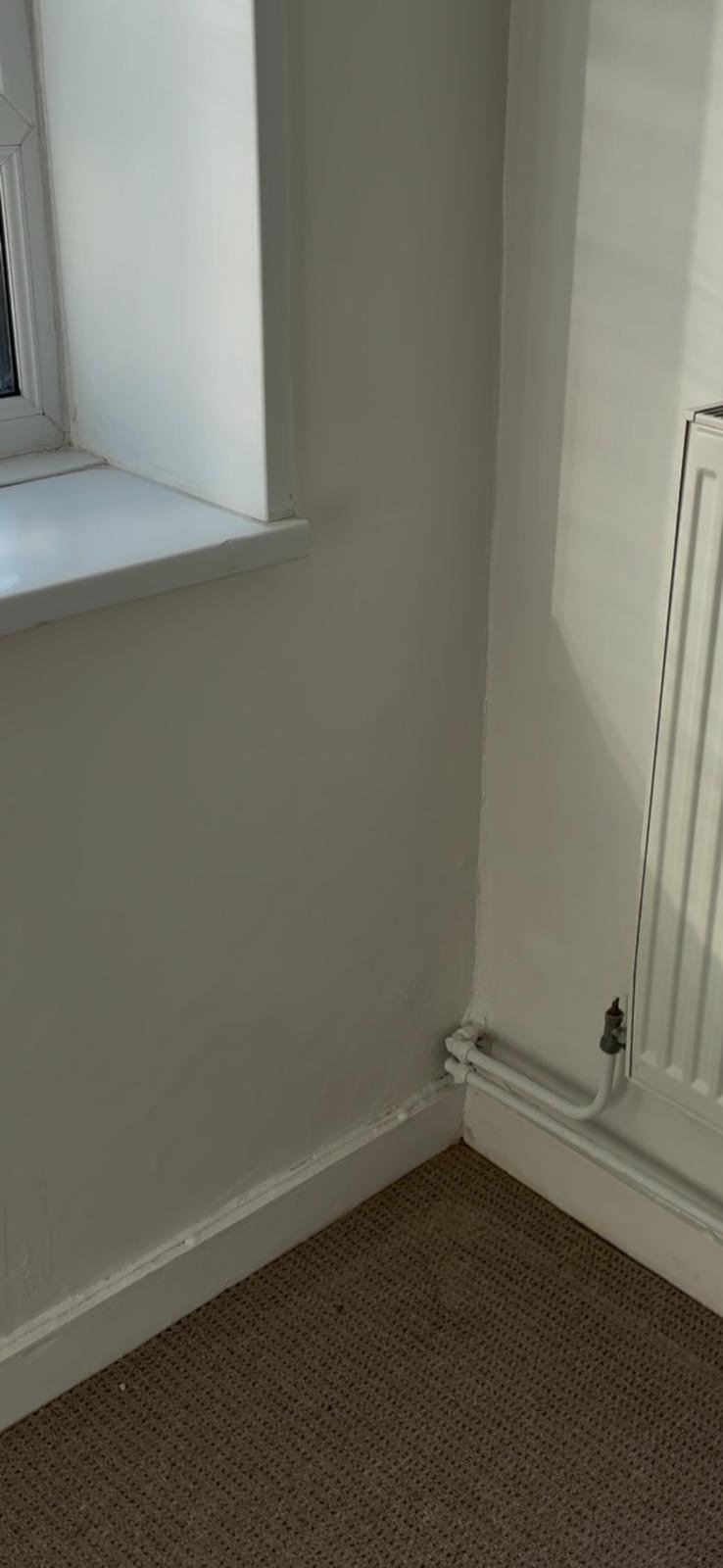 Empty room corner with pale green walls, brown carpet, white skirting boards, radiator, and window with white frame